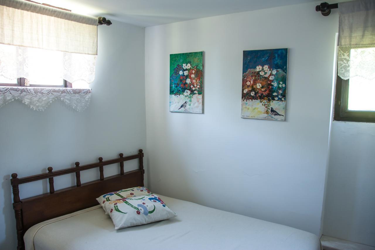 Varna Guest House Vila Albedo المظهر الخارجي الصورة